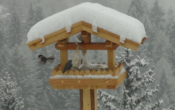 FUTTERHÄUSCHEN UND FUTTERKRIPPEN